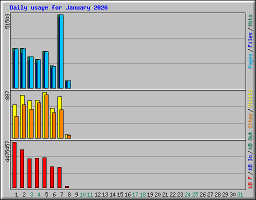 Daily usage for January 2026