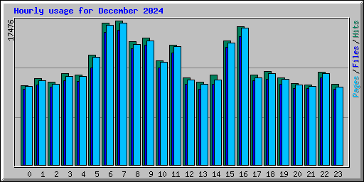 Hourly usage for December 2024