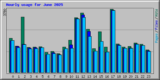 Hourly usage for June 2025