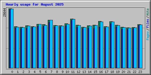 Hourly usage for August 2025