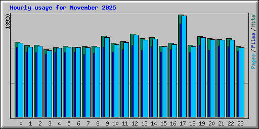 Hourly usage for November 2025