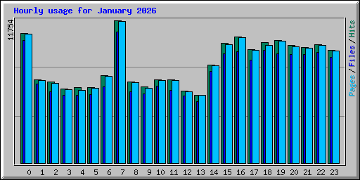 Hourly usage for January 2026